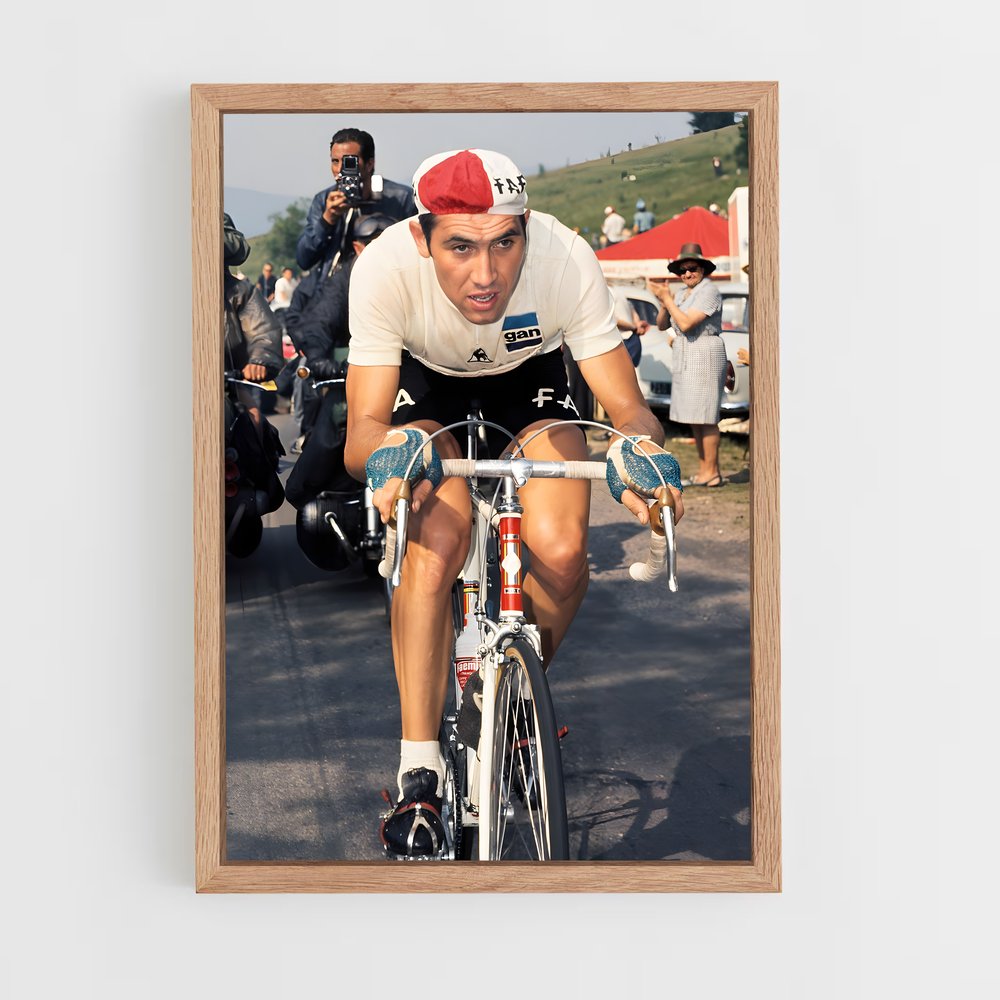 Poster Eddy de merckx – affiche Cyclisme (vue 4)